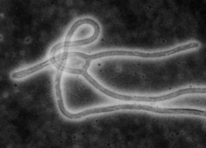 Еврокомиссия одобрила первую в мире вакцину от лихорадки Эбола