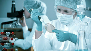 В России испытают новый препарат против клещевого энцефалита