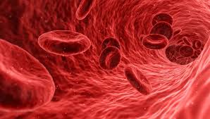 Изобретатели: наши искусственные клетки крови действуют не хуже натуральных