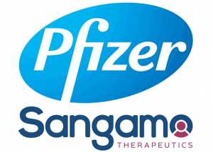 Генная терапия гемофилии А от Pfizer демонстрирует устойчивый эффект