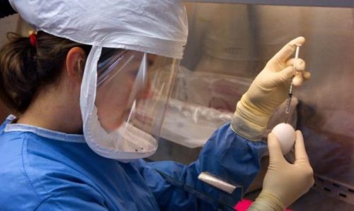 Ученые подсчитали вклад бессимптомных носителей в распространение коронавируса