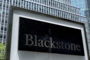 Японская Takeda продаст свое подразделение американской Blackstone за $2,3 млрд 