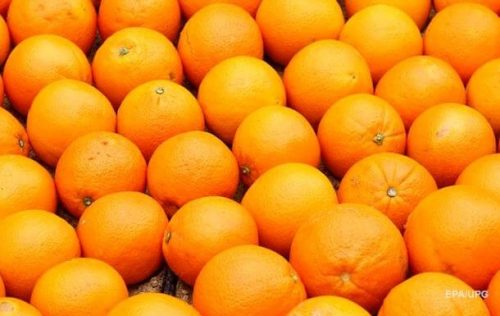 Апельсины признаны источником лекарства против коронавирусной инфекции