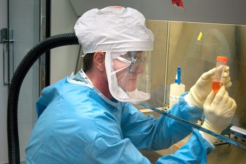 Комбинированная вакцина «Вектора» от гриппа и коронавируса испытывается на животных