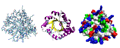 Более 100 белков человека взаимодействуют с РНК коронавируса