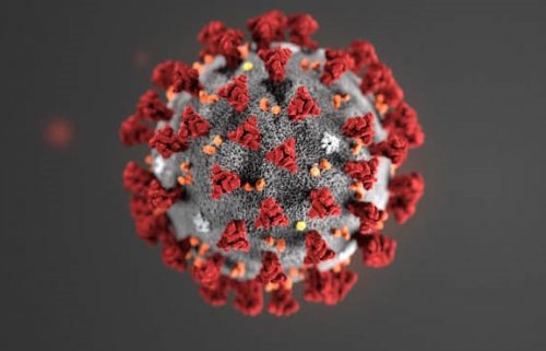 Создан тест на все известные коронавирусы