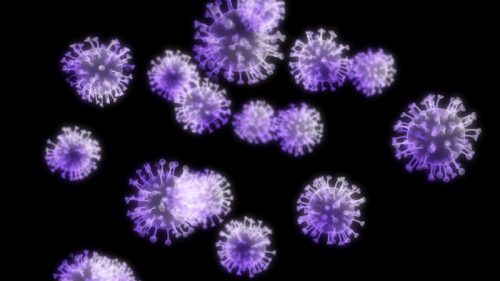 Иммунитет помогает коронавирусу заражать