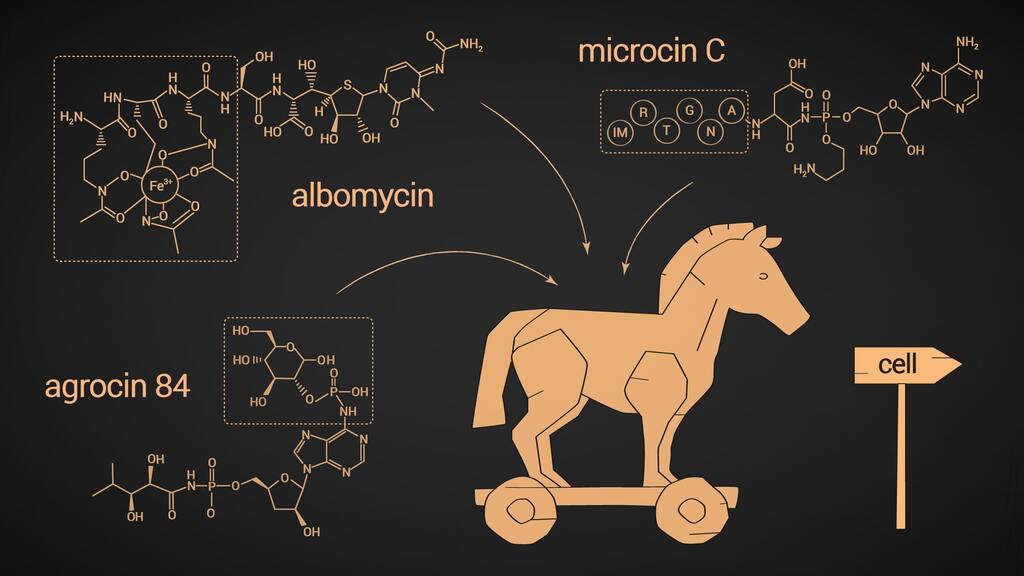 Исследованы новые антимикробные «троянские кони»