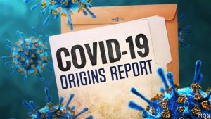Разведка США рассекретила выводы о происхождении COVID