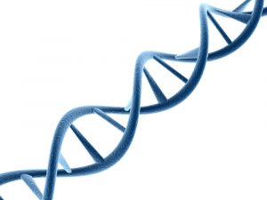 Ученые придумали, как исправить запутанность в ДНК и лечить редкие заболевания