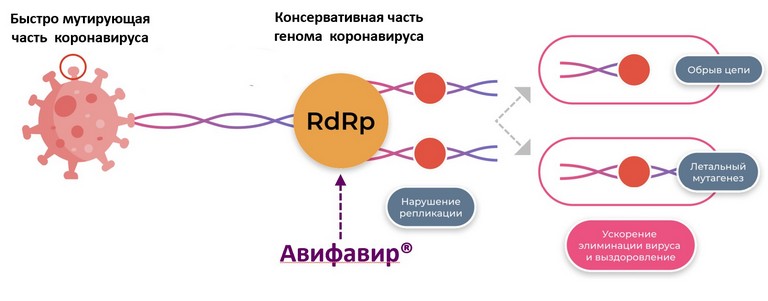 Ведущие ученые отмечают эффективность российского препарата «Авифавир» против COVID-19, включая новые штаммы «дельта» и «омикрон»