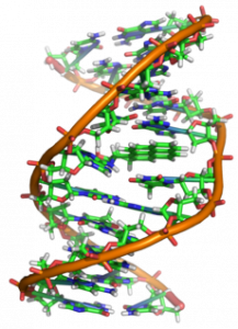 Нейросеть помогла ученым изучить процесс восстановления ДНК