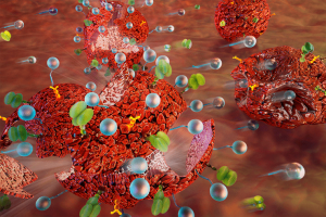 Новые наночастицы доставляют лекарство точно к опухоли
