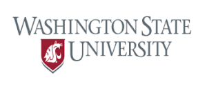Университет штата Вашингтон