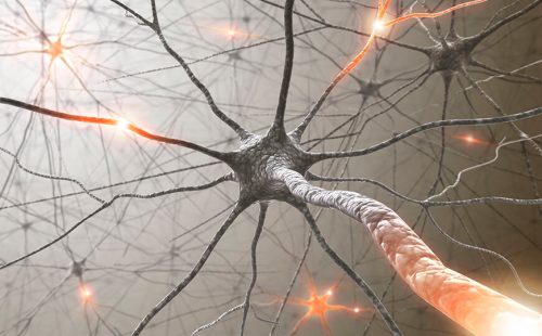 Постковидные повреждения нервной системы могут быть связаны с поражением сосудов мозга