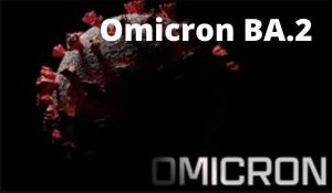 Исследование подварианта BA.2 вируса Omicron вызывает растущую тревогу