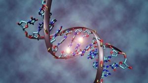 Открытие показало, что ДНК восстанавливается иначе, чем считалось ранее