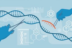 Передовая технология редактирования генома CRISPR