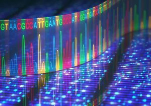 Ученые расшифровали полный геном человека