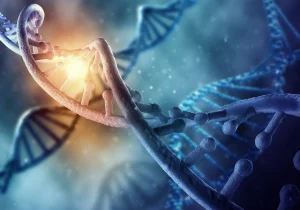 ДНК-нанотехнология