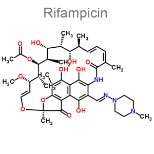 Описан механизм устойчивости микобактерии к рифампицину