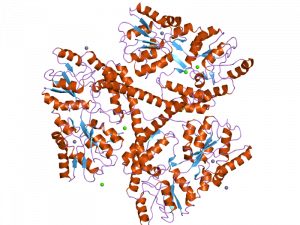 Структура белка хантингтина (huntingtin, HTT)