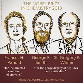 Нобелевская премия по химии была присуждена за исследование пептидов и антител