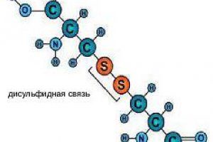 Российские химики открыли механизм разрушения дисульфидной связи в соединениях палладия c биомолекулами