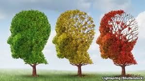 Австралийские ученые тестируют новое лекарство против болезни Альцгеймера
