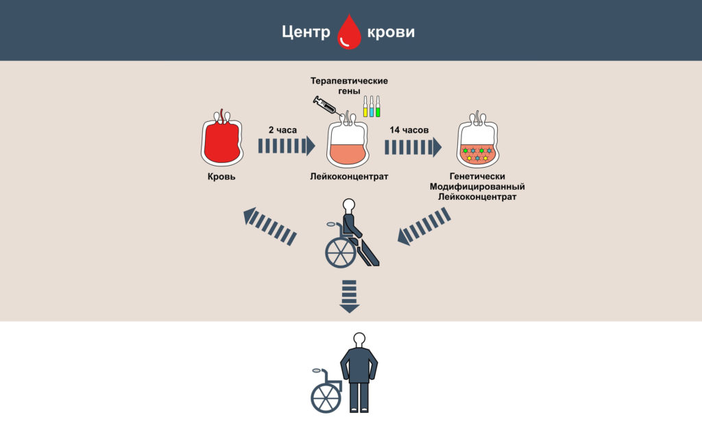 «Прорывное направление»: российские генетики создали новый препарат для регенеративной медицины