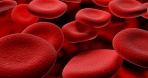 Тройная система проверки находит даже самые неуловимые клетки рака в крови