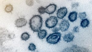 Магнитный занавес: обработанная плазмой вода уничтожит коронавирус