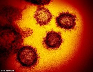 Является ли ДНК движущей силой у молодых людей, умирающих от коронавируса? Ученые ищут генетические «ошибки», способные сделать некоторых людей без основных заболеваний уязвимыми для вируса