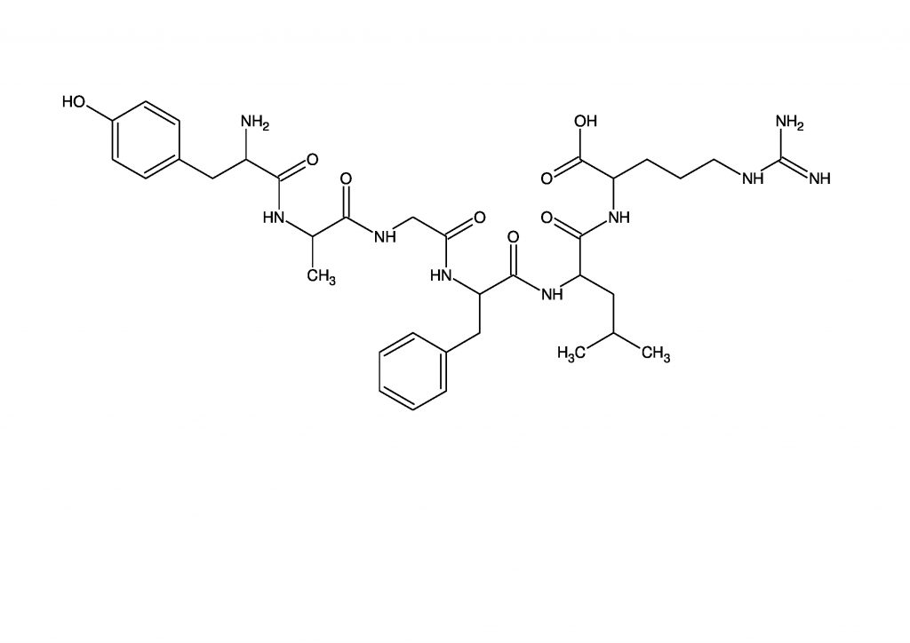 Peptide chain. I. рашн пептид. схема реакции синтеза трипептида. глицил фенилаланил.