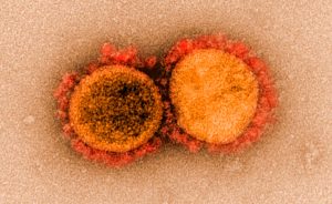 Германия выдаст сертификаты на антитела к коронавирусу, чтобы дать возможность помещенным на карантин вернуться в общество