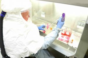 В Пентагоне на животных начинают клинические испытания вакцины против коронавируса