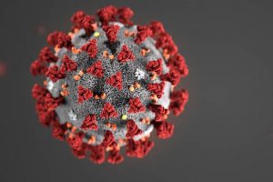 Ученые Сан-Диего определили 30 потенциальных препаратов-кандидатов от коронавируса