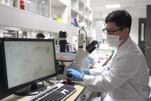 Celltrion намерена начать испытание на людях препарата против коронавируса в июле