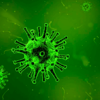 Найдено новое средство против коронавируса COVID-19