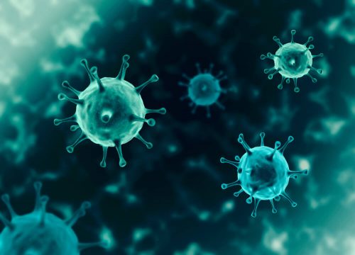 Коронавирус мутирует: пять из шести подтипов теперь более заразны