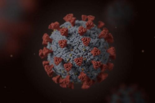 В Европе стремительно распространяется новый вид коронавируса