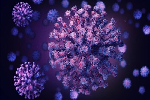 Коктейль из антител, разработанный Regeneron, снизил уровень коронавируса в крови