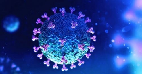 В Африке нашли штамм коронавируса с 34 мутациями