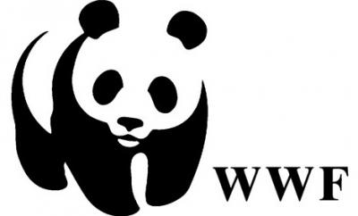 В итальянском офисе WWF заявили, что в мире ежедневно используется 7 млрд масок