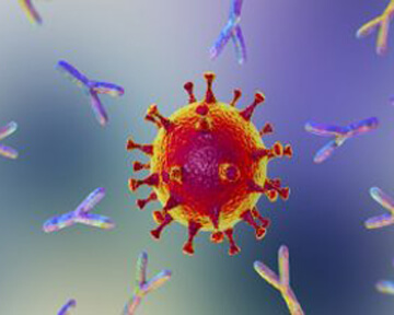 Антитела от GSK и Vir снижают риски госпитализации пациентов с COVID-19 на 79%
