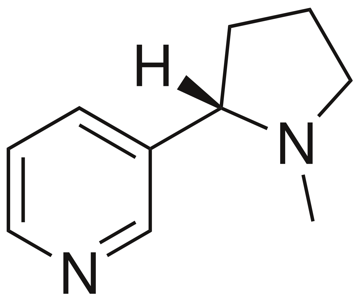 Химический состав никотина. Химическая формула солевого никотина. Никотин структурная формула. Солевой никотин формула. Химическая структура никотина.