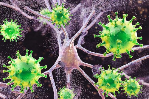 Открытие: ученые нашли способ остановить репликацию коронавируса