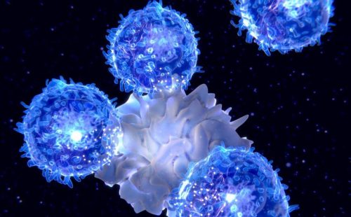 Мощный Т-клеточный ответ после вакцинации аденовирусными векторами формируется в нелимфоидных тканях