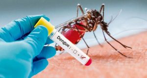 Ингибитор репликации облегчает течение лихорадки денге у мышей