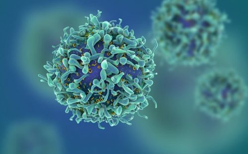 Тест на T-клеточный иммунитет не позволяет достоверно определить, болел ли человек COVID-19